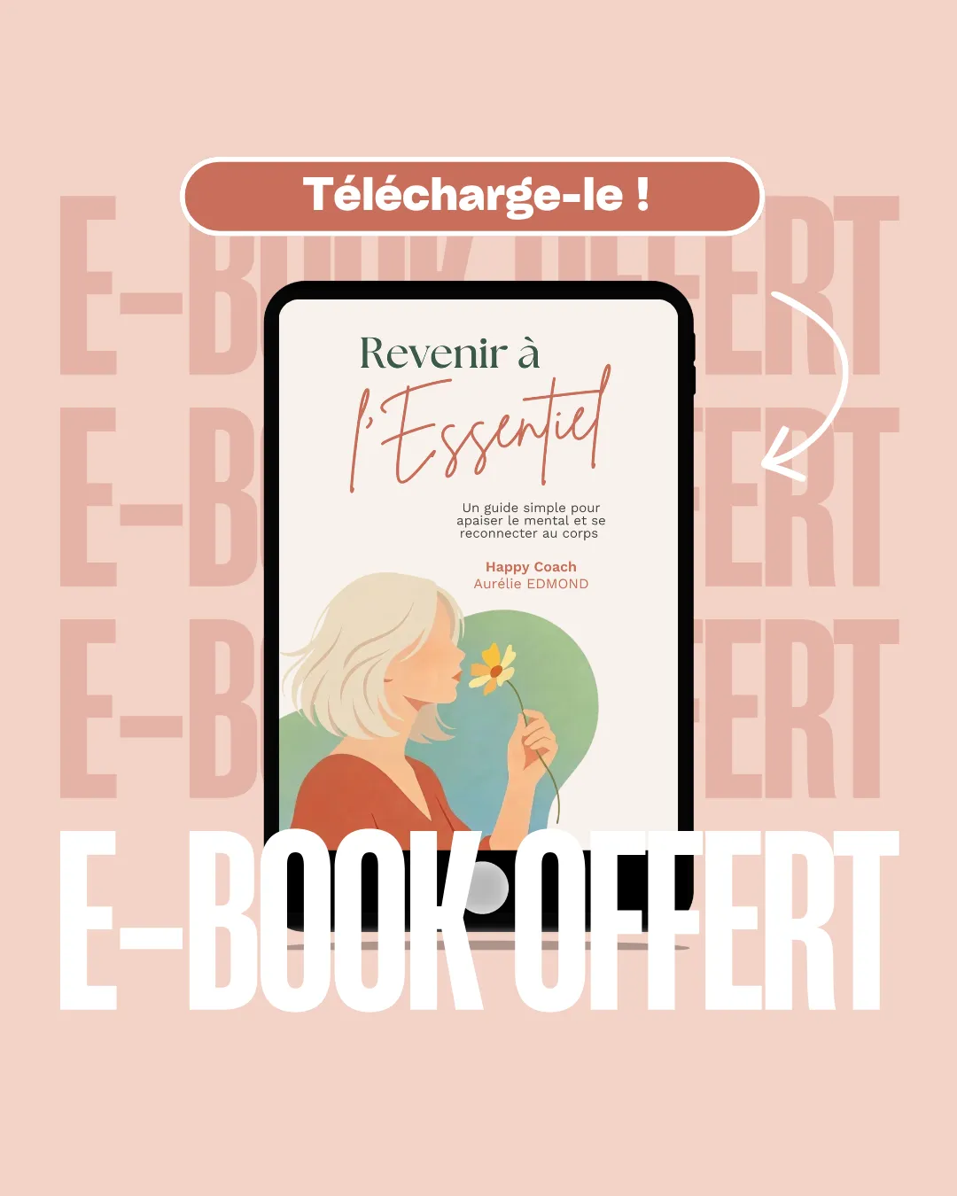 ebook offert